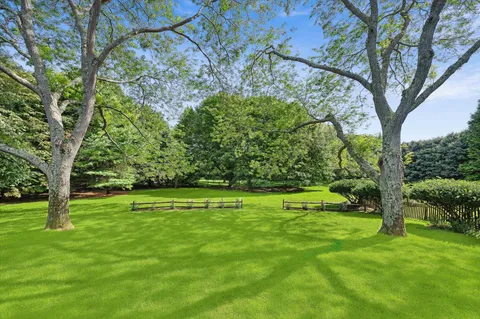 a view of field with trees in the background