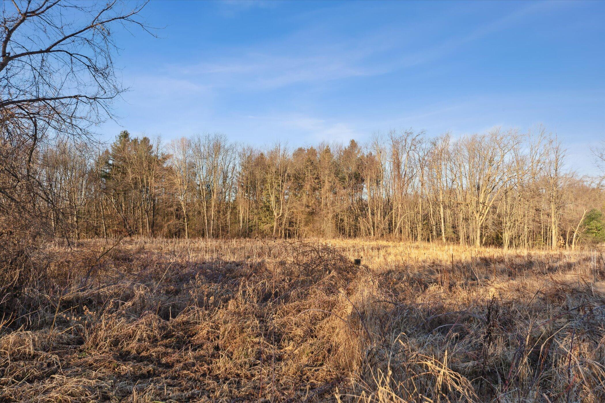 12036 Easton Road Rives Junction, MI 49277 - Photo 8 of 8 11-12036-Easton-Rd-Rives-Junction-MI-492