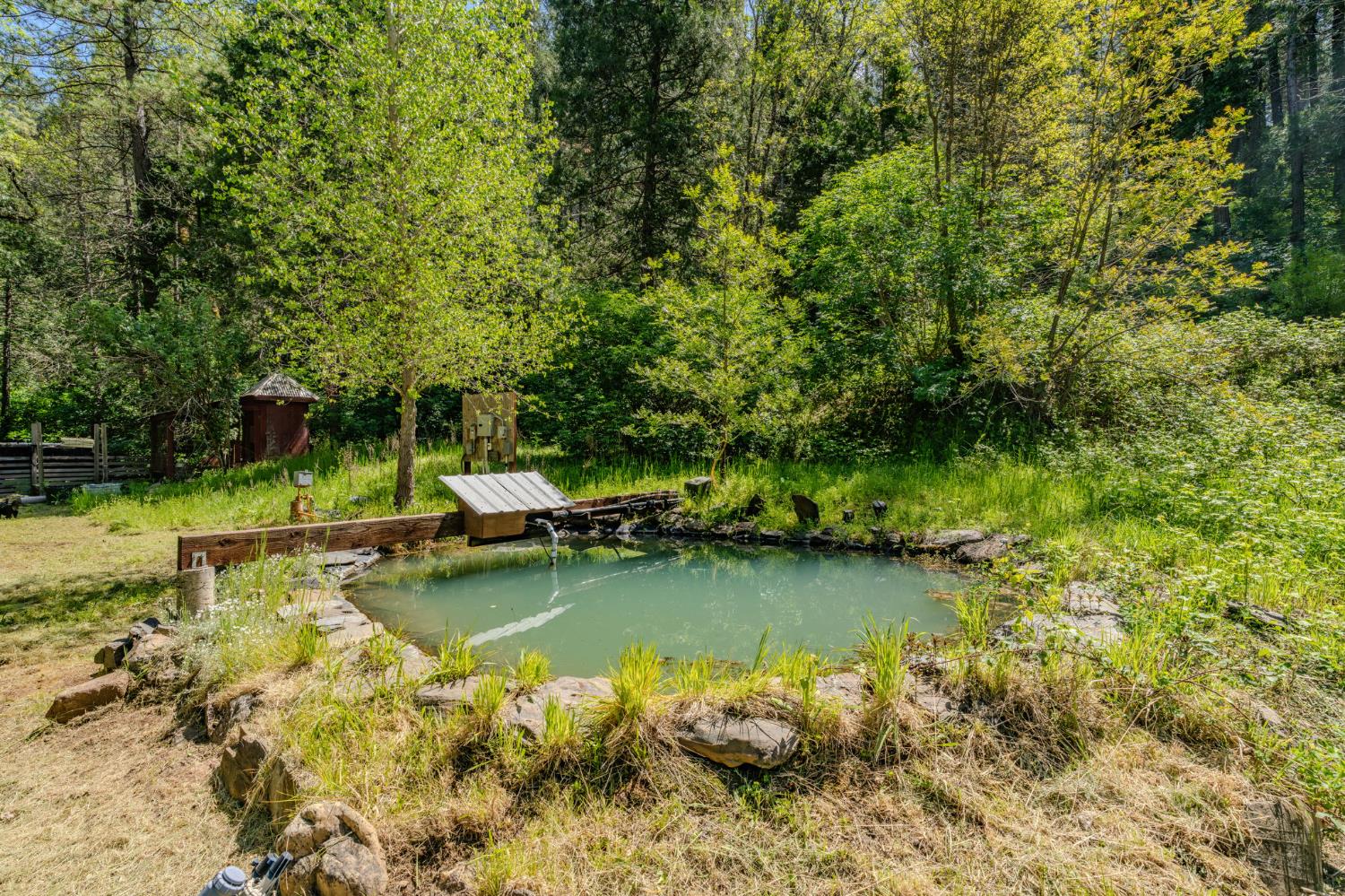 4040 Cedar Creek Road Fiddletown, CA 95629 - Photo 47 of 71 Artesian Well Pond