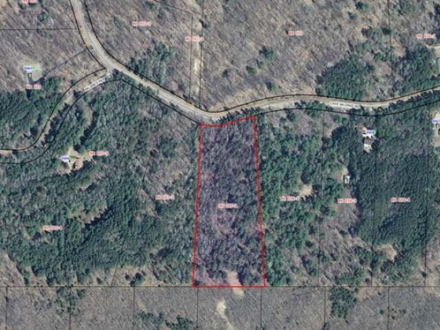 Lot 28 Lake Mildred Road Rhinelander, WI 54501 - Photo 4 of 6 Gallery Image 4