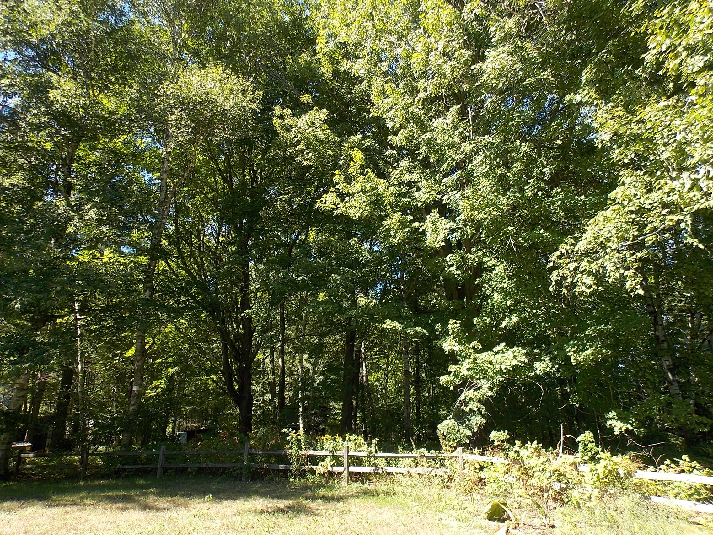2690 Riggsville Road Cheboygan, MI 49721 - Photo 60 of 65 Gallery Image 60
