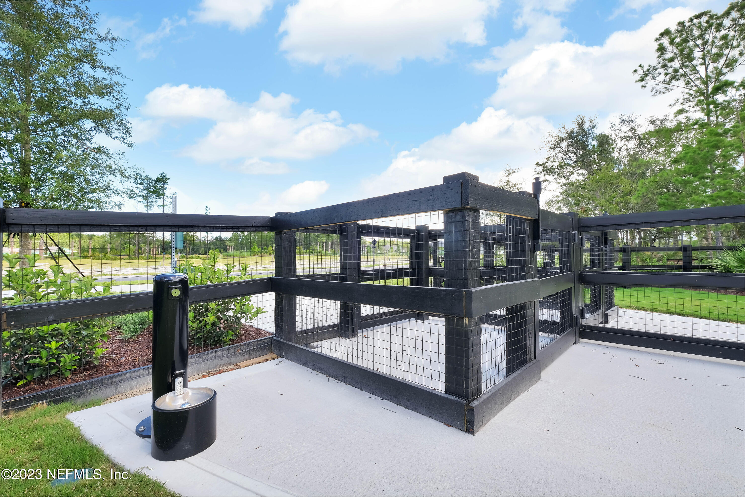 310 Ladyslipper Drive St. Johns, FL 32259 - Photo 46 of 82 13 WaterSong Paw Park