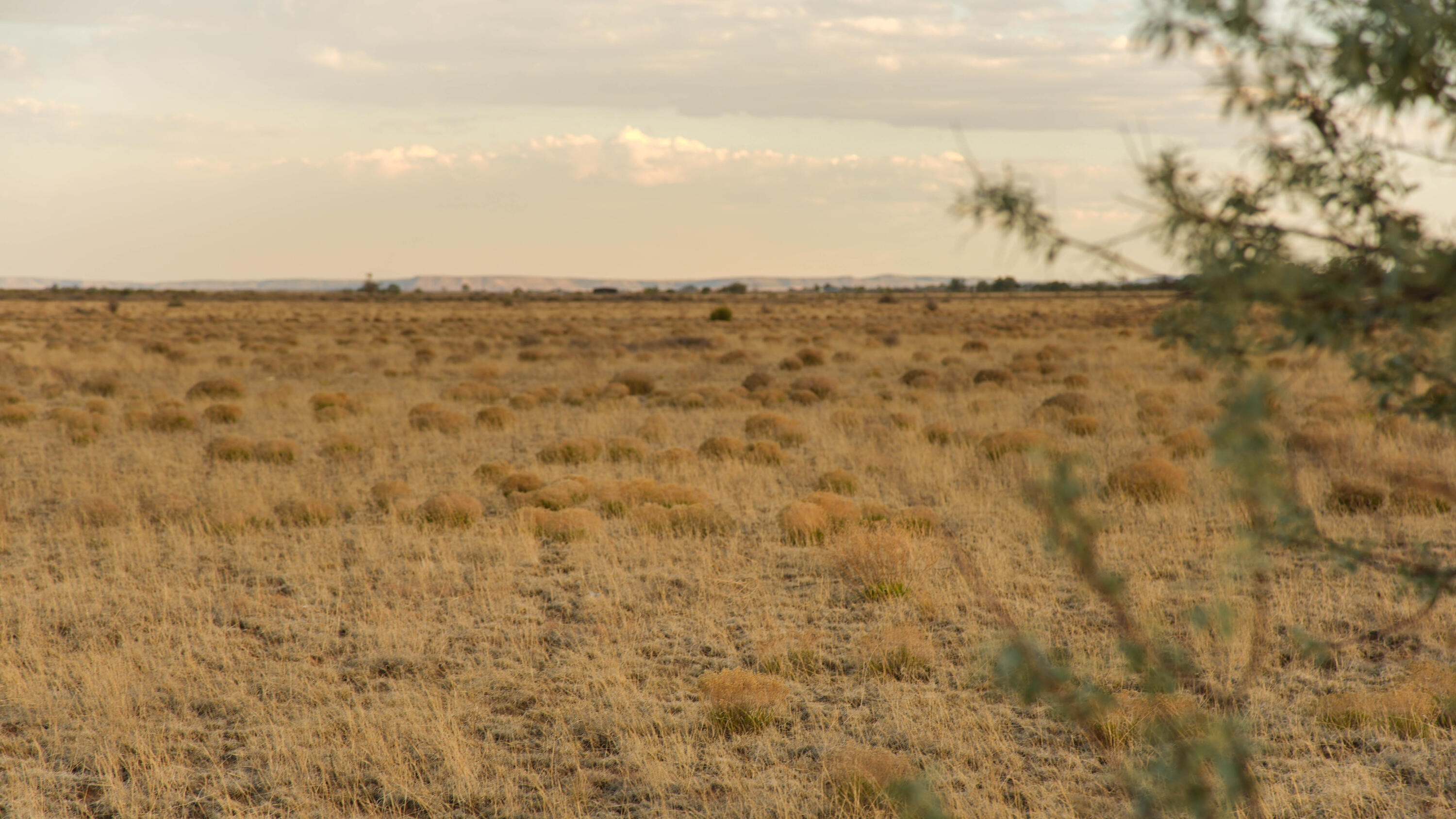 East Marshall Road McIntosh, NM 87032 - Photo 6 of 11 Gallery Image 6