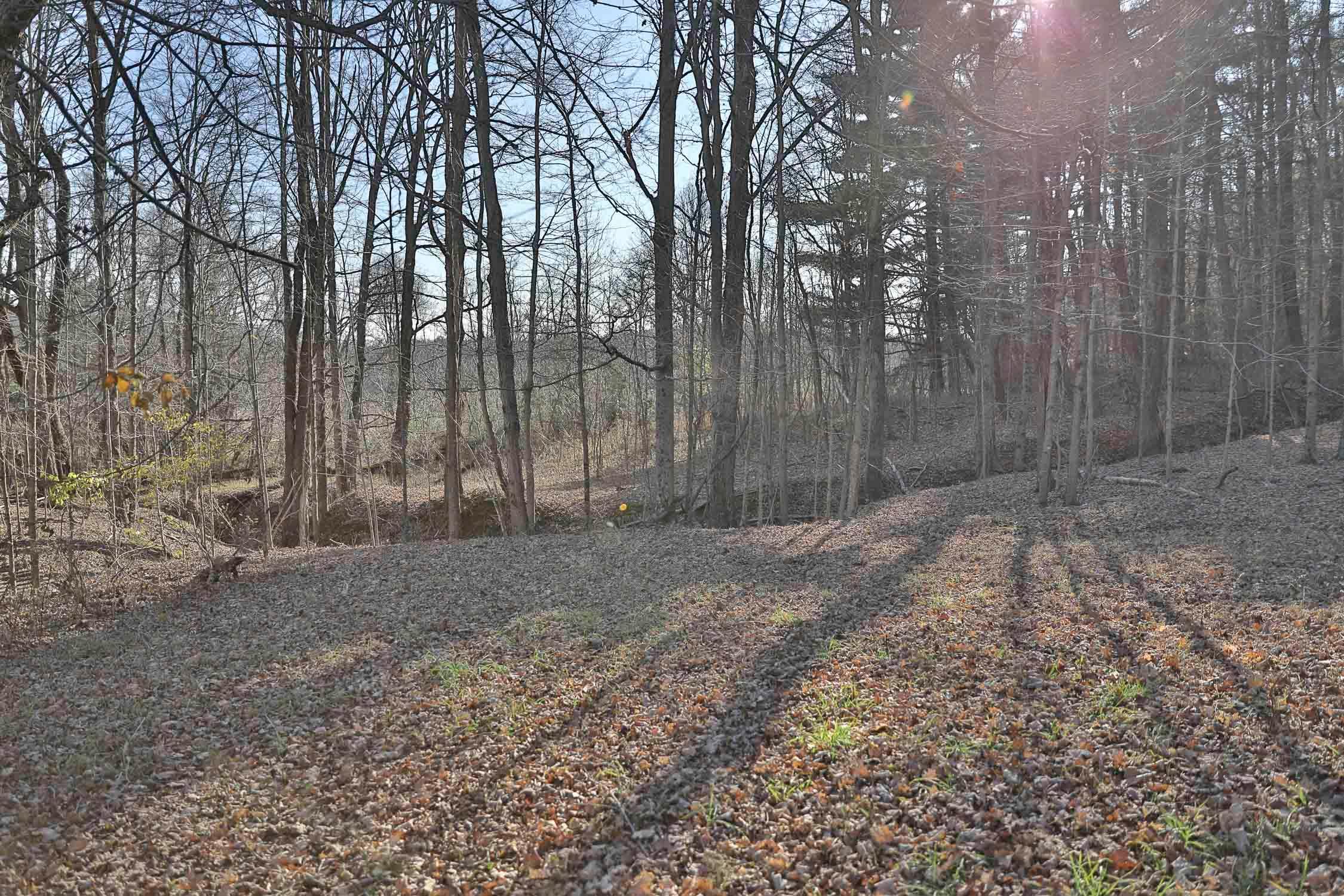 2519 Dry Run Road Chillicothe, OH 45601 - Photo 8 of 30