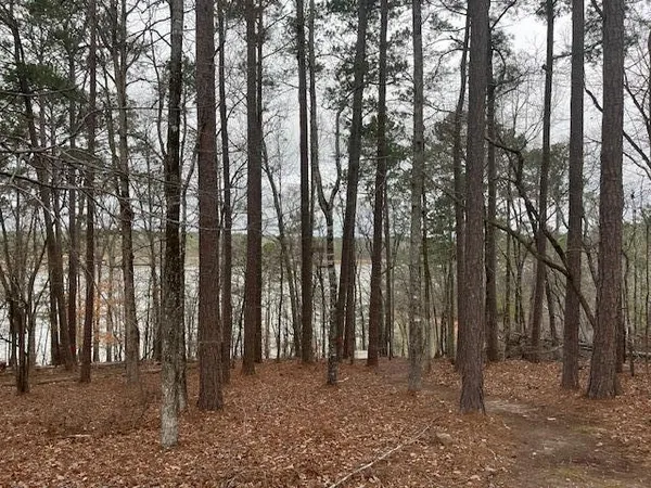 $110,000 | 1578 Treasure Lane, Tignall, GA 30668