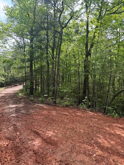 0 Tyler Lane Marble, NC 28905 - Photo 14 of 31