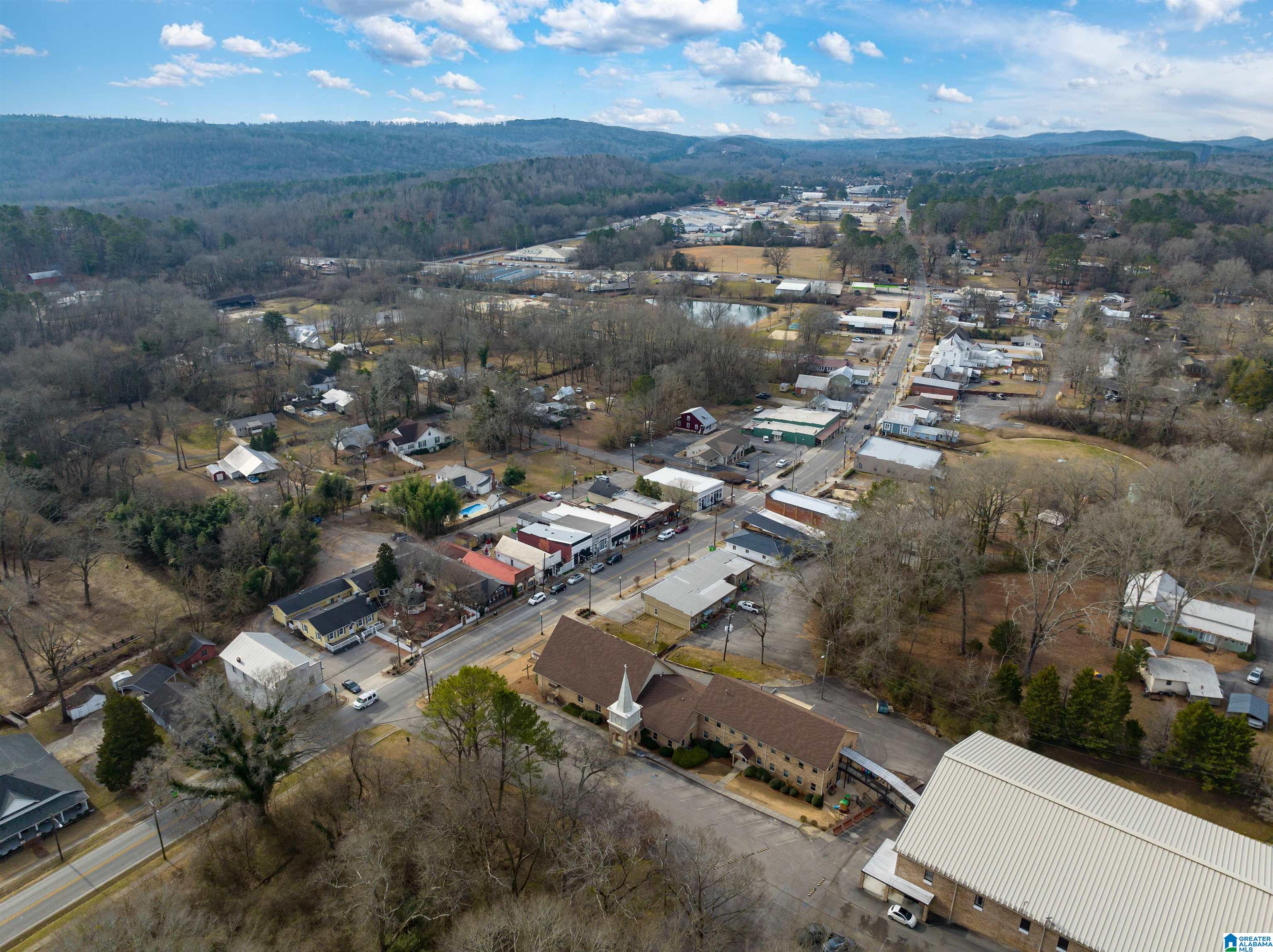 21 Bruce Street Springville, AL 35146 - Photo 39 of 43