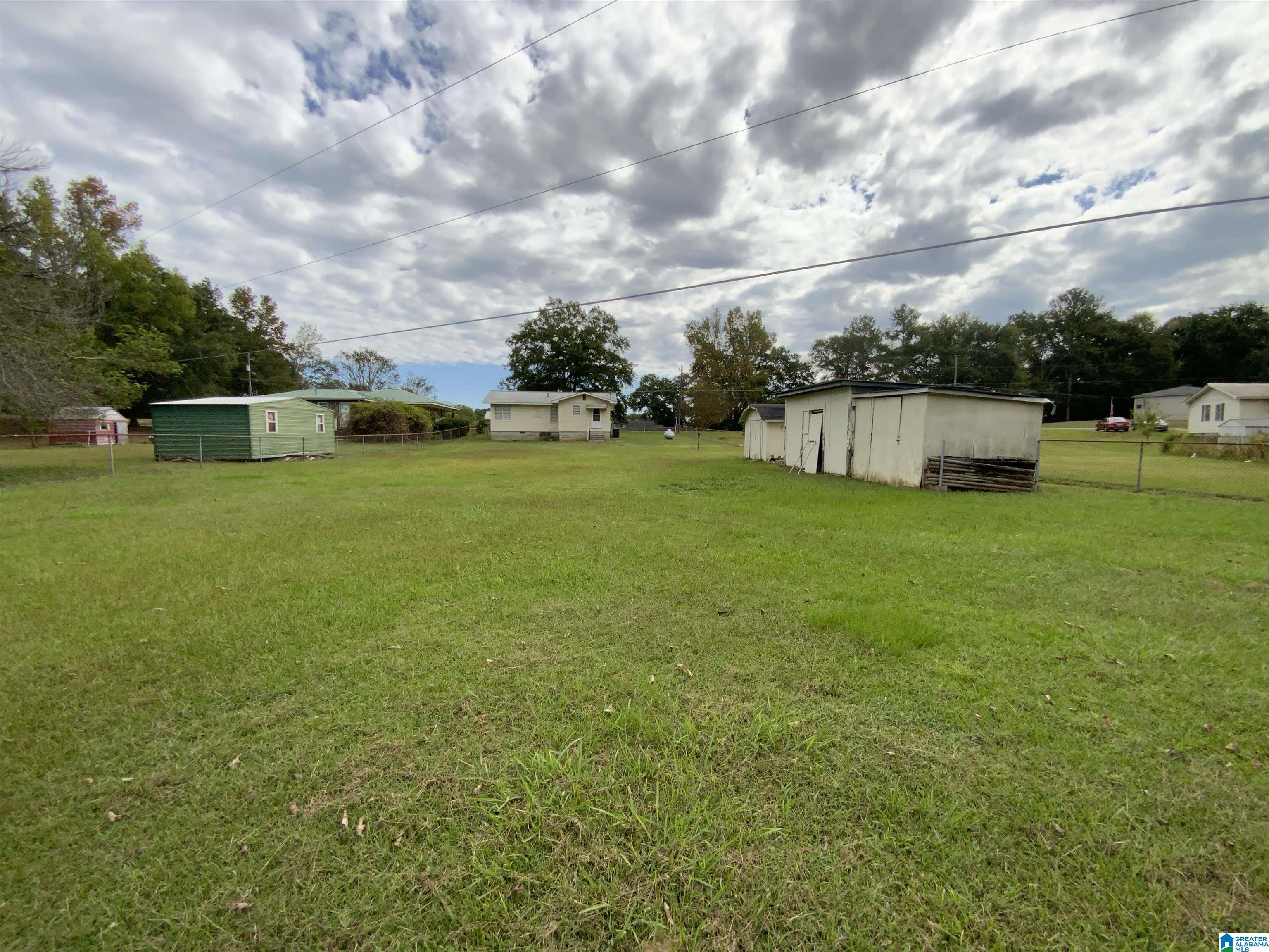 1733 Steinburg Road Piedmont, AL 36272 - Photo 42 of 42