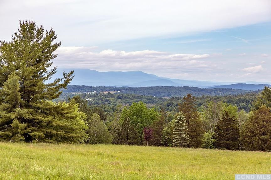 708 New Forge Rd II Taghkanic, NY 12502 - Photo 27 of 29 a view of lake and mountain