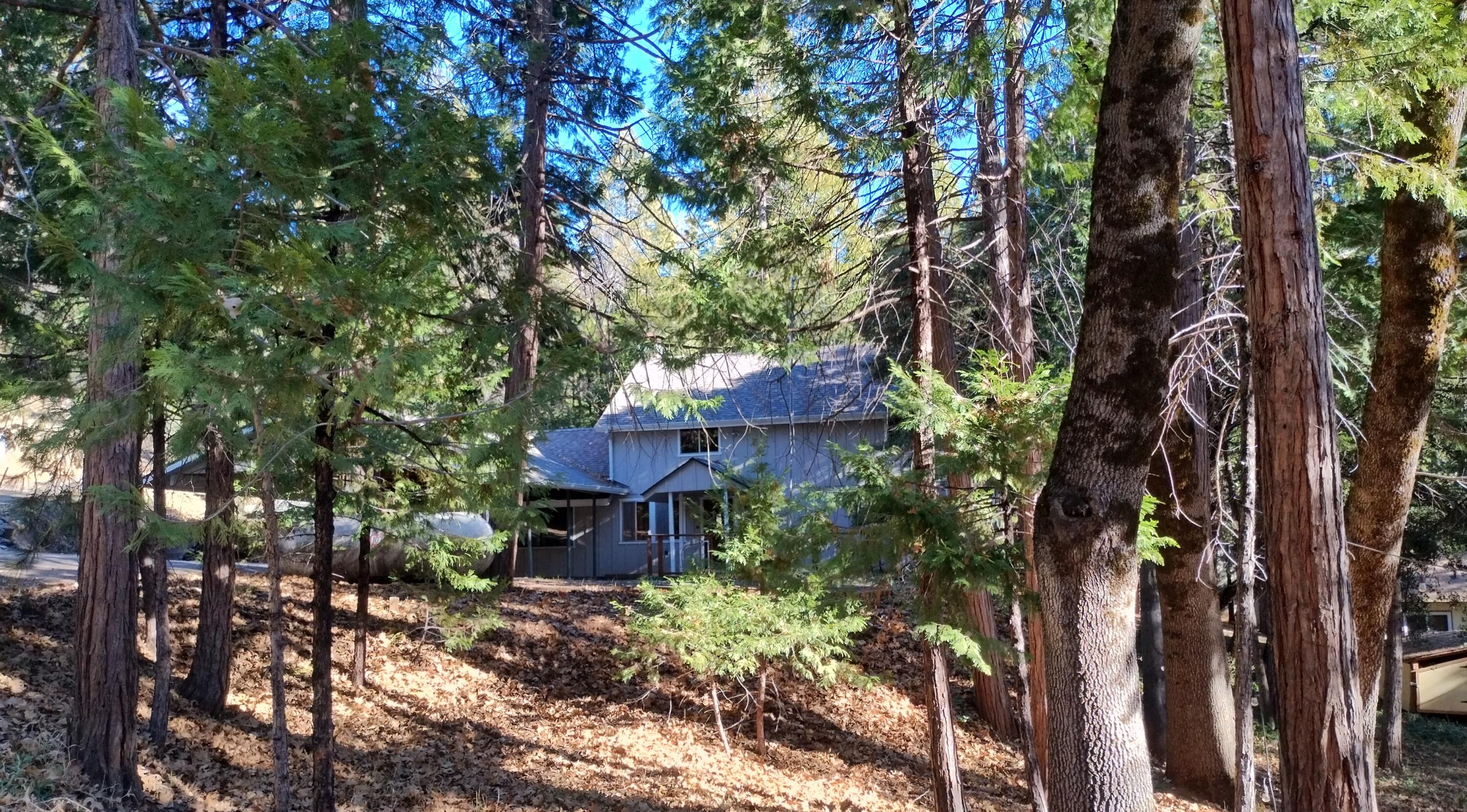 594 Loop Drive Springville, CA 93265 - Photo 65 of 68 63.5-Front of cabin from Loop Dr