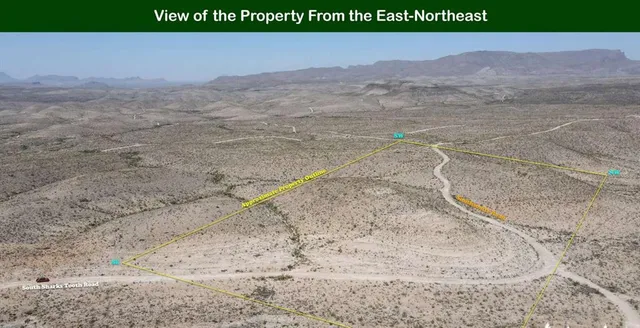 a picture of a person