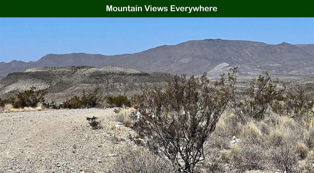 100 Smithsonite Road Alpine, TX 79830 - Photo 23 of 40 a vine yard with mountains in the background