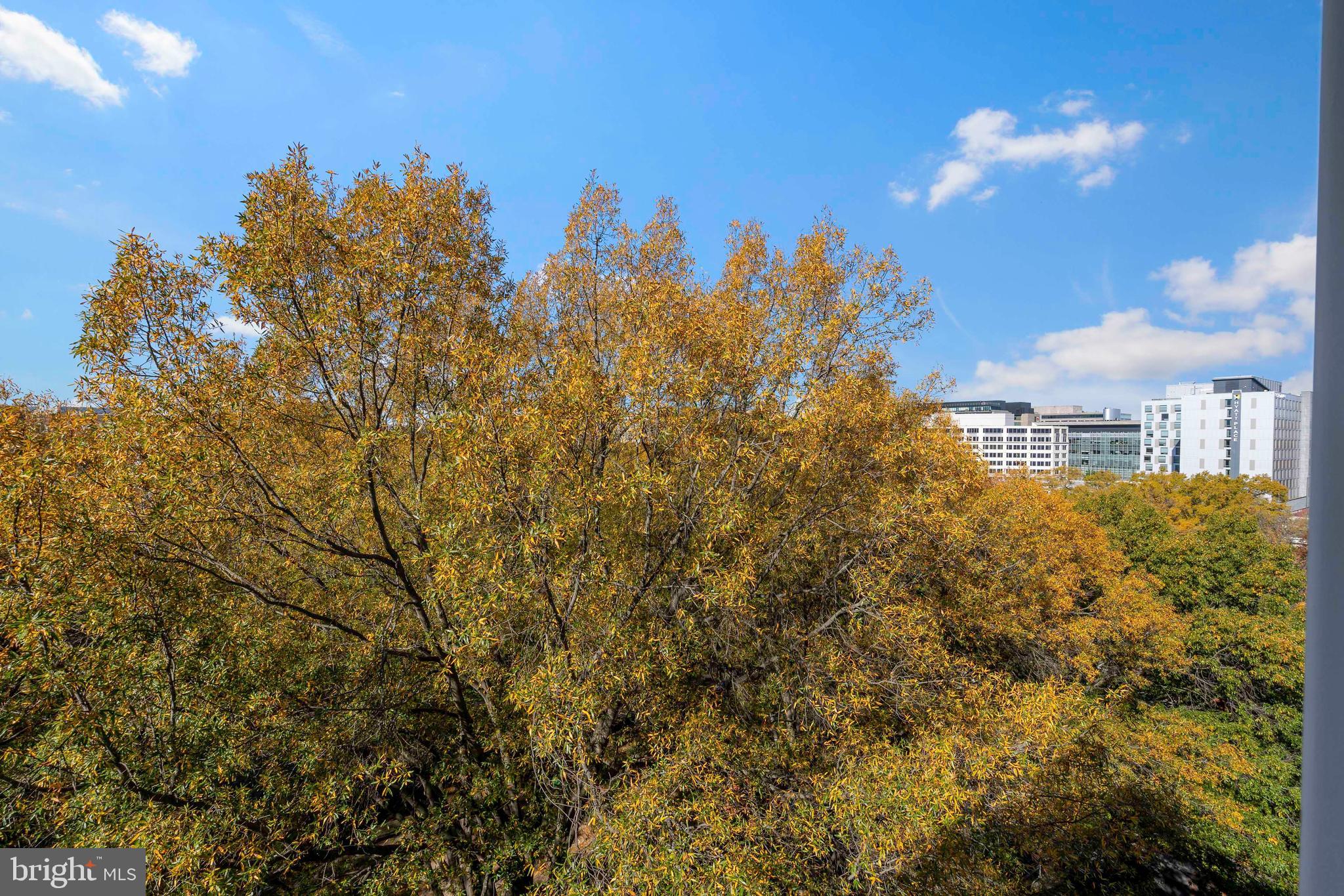 800 4th Street Southwest, Unit N801 Washington, DC 20024 - Photo 15 of 31 a view of a city