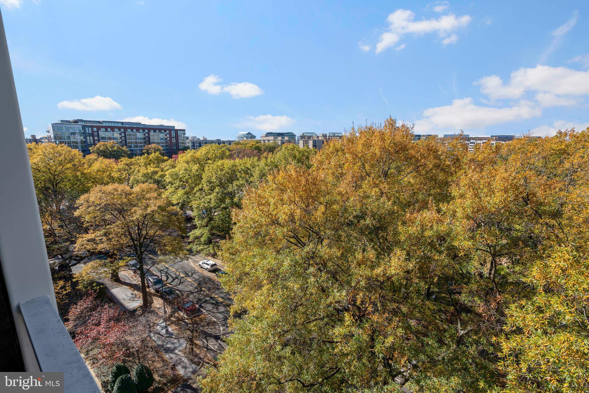 800 4th Street Southwest, Unit N801 Washington, DC 20024 - Photo 17 of 31 a view of a dry yard