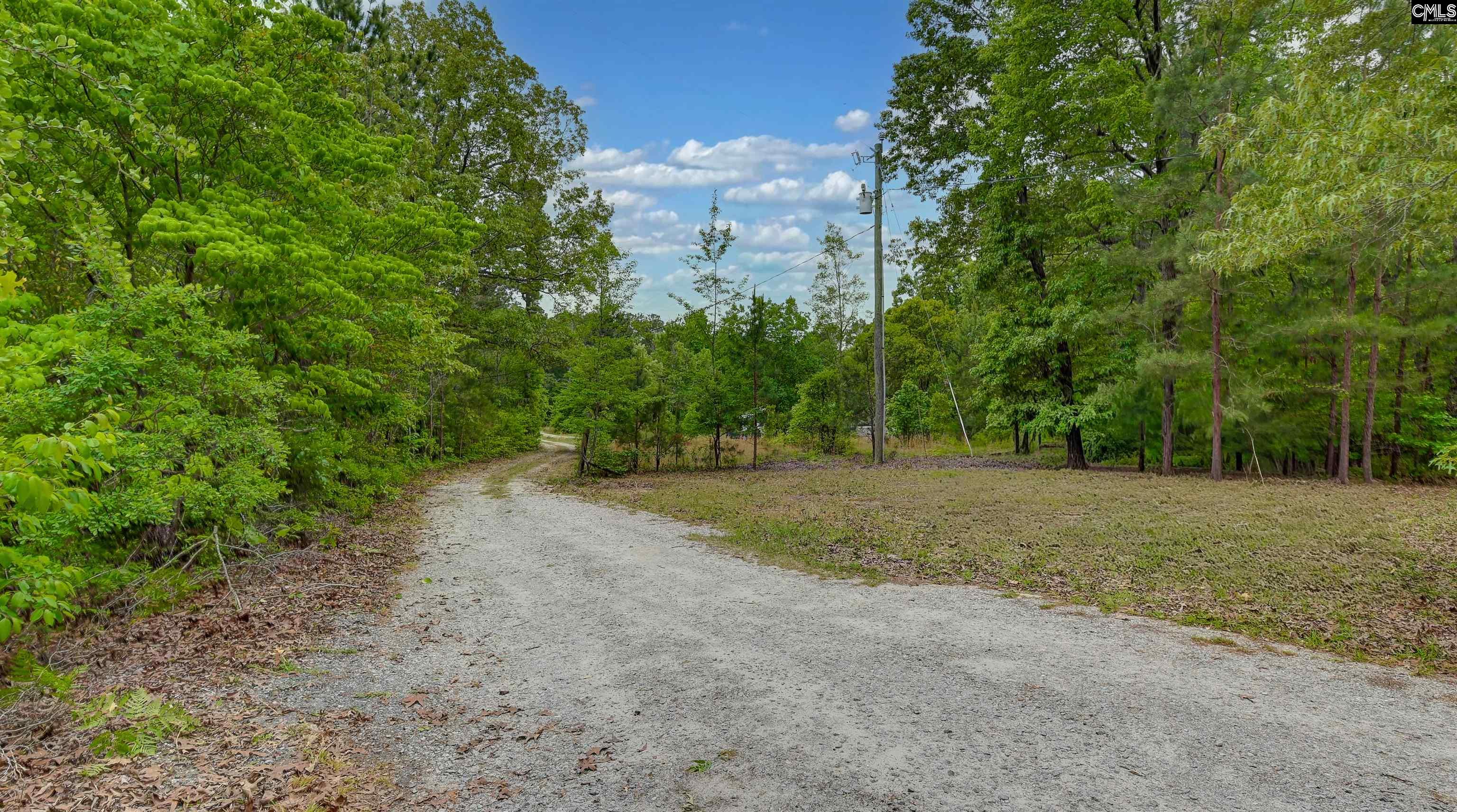 972 Gary Goff Road Elgin, SC 29045 - Photo 3 of 45