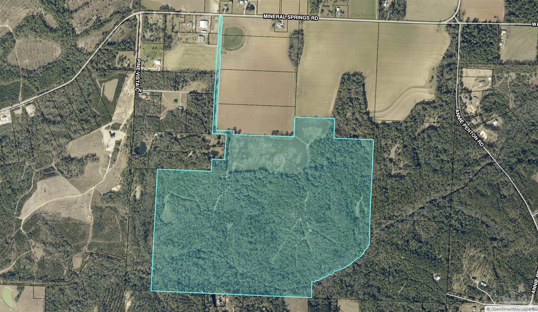100 Mineral Springs Road Jay, FL 32565 - Photo 19 of 19 a view of a pathway