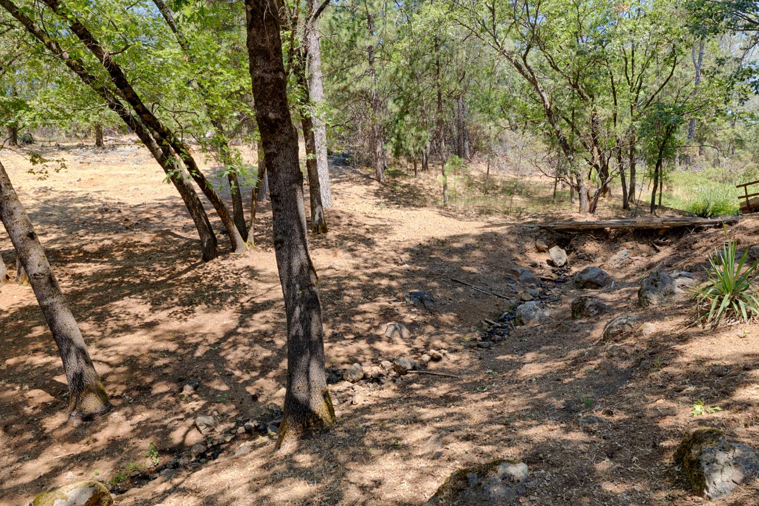 18594 Norlene Way Grass Valley, CA 95949 - Photo 44 of 46