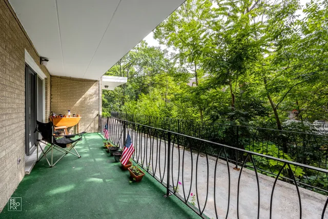 a view of a backyard with the trees