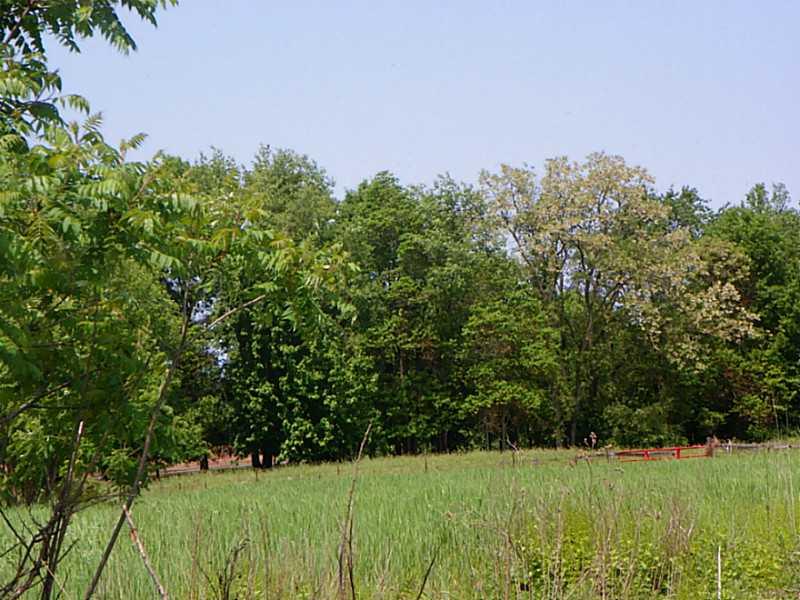 357 Bend Road New Wilmington, PA 16142 - Photo 24 of 25 Land/Lot.