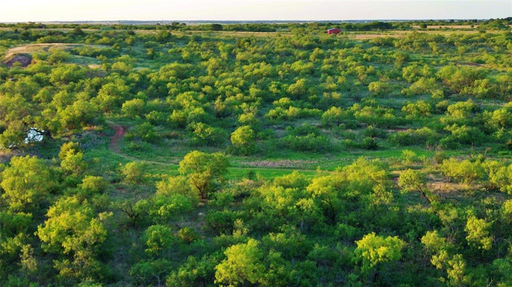 551 Blevins Road Nocona, TX 76255 - Photo 9 of 38