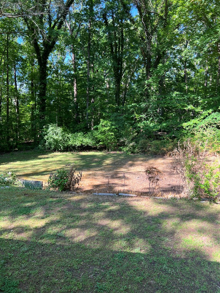 1013 Clayton Road Powhatan, VA 23139 - Photo 20 of 21 Gallery Image 20