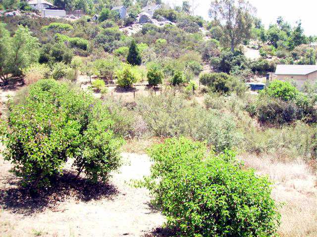 1139 South Grade Road Alpine, CA 91901 - Photo 23 of 25