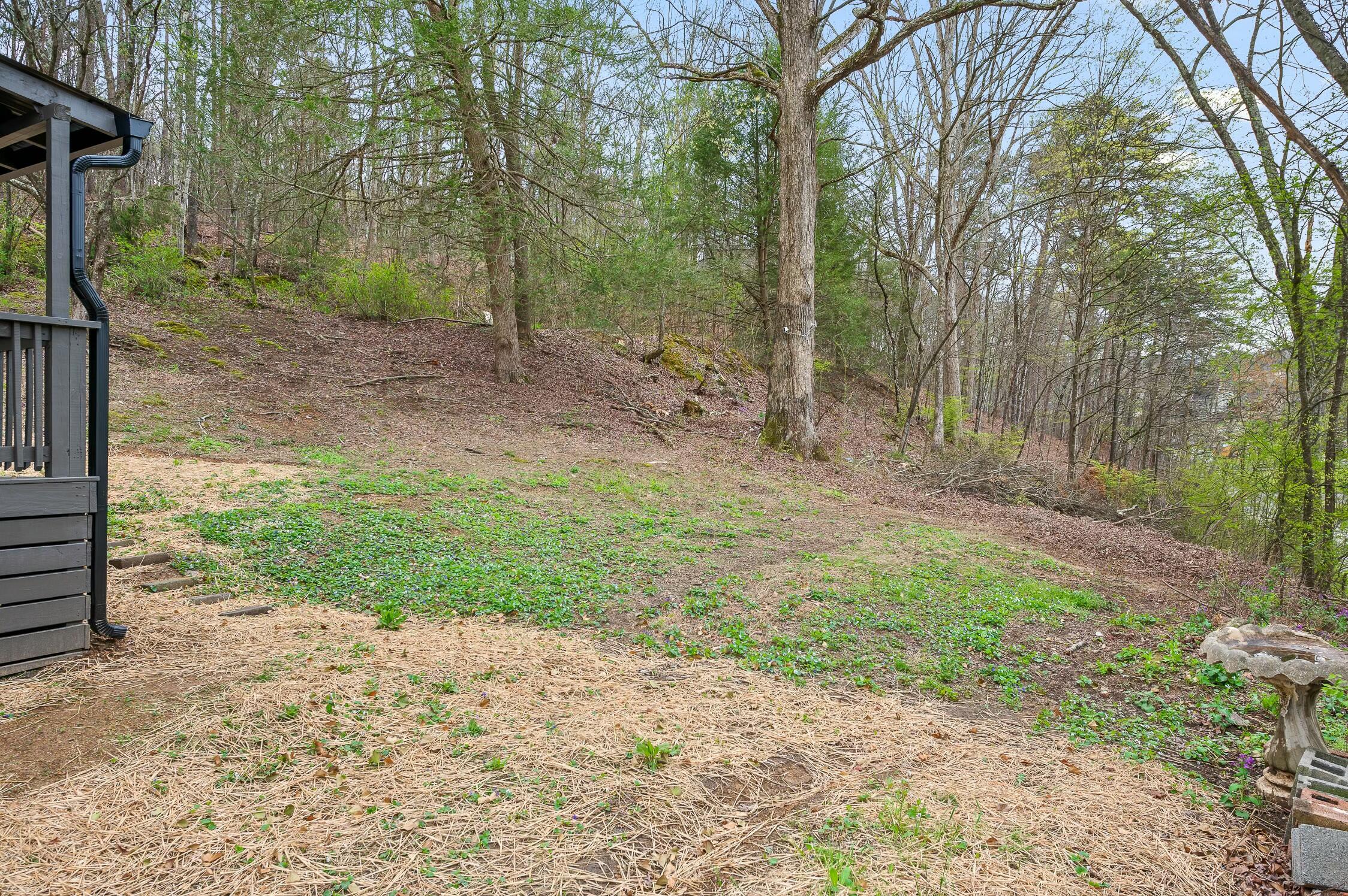 9834 West Ridge Trail Road Soddy Daisy, TN 37379 - Photo 25 of 25 Back Yard