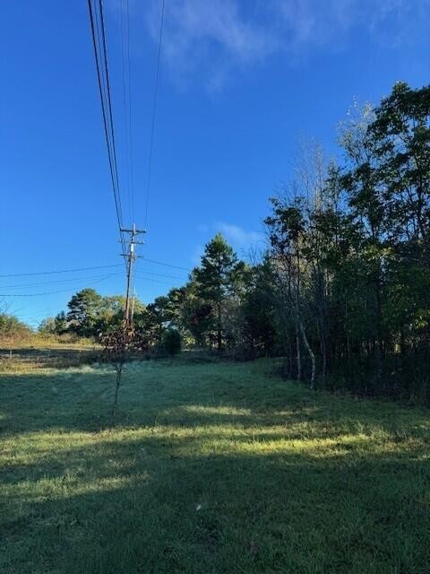 446 Patton School Road South Pittsburg, TN 37380 - Photo 16 of 21 Gallery Image 16