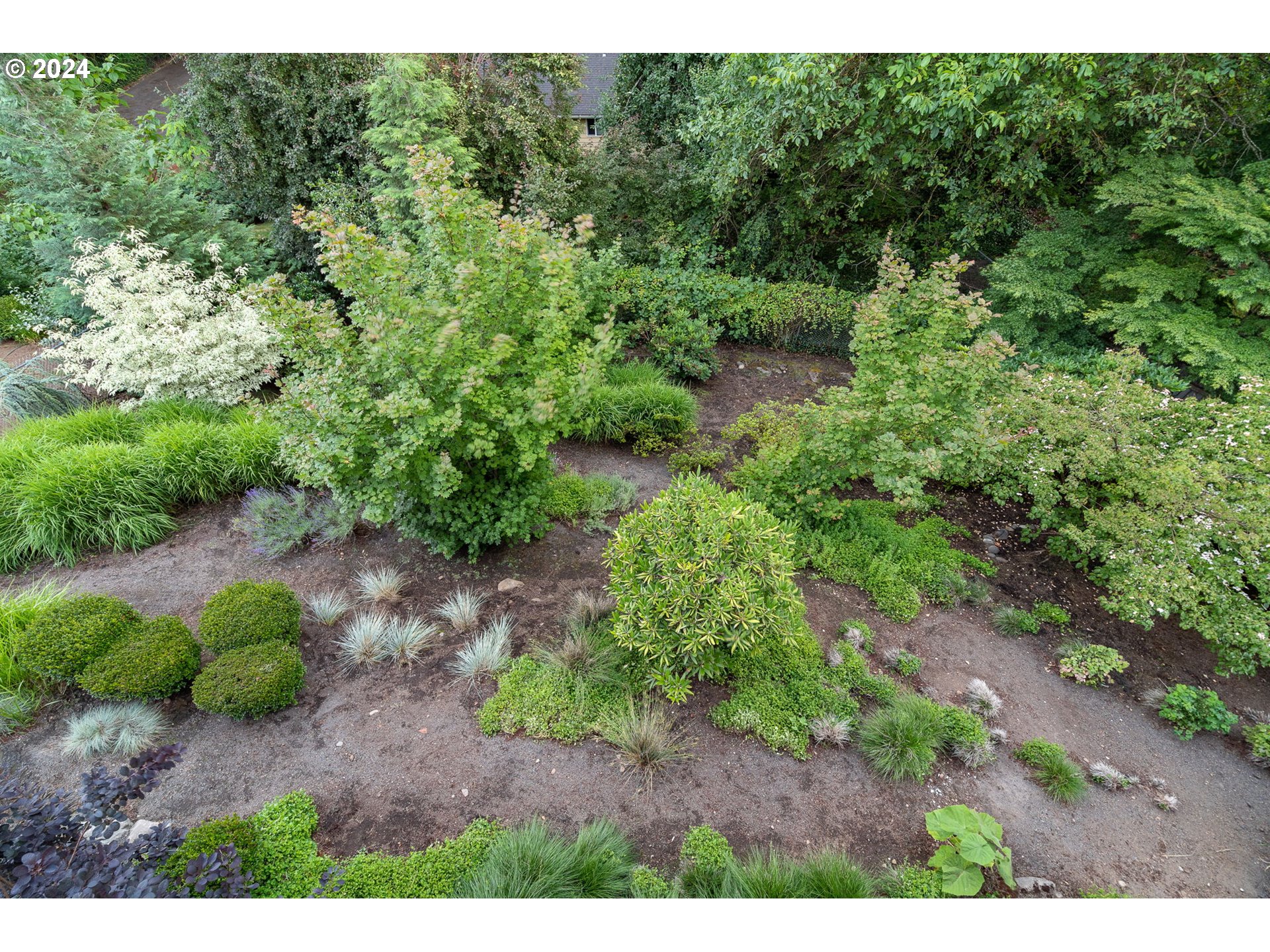 1011 Columbia Ridge Drive Vancouver, WA 98664 - Photo 26 of 34 a view of a large yard with lots of green plants