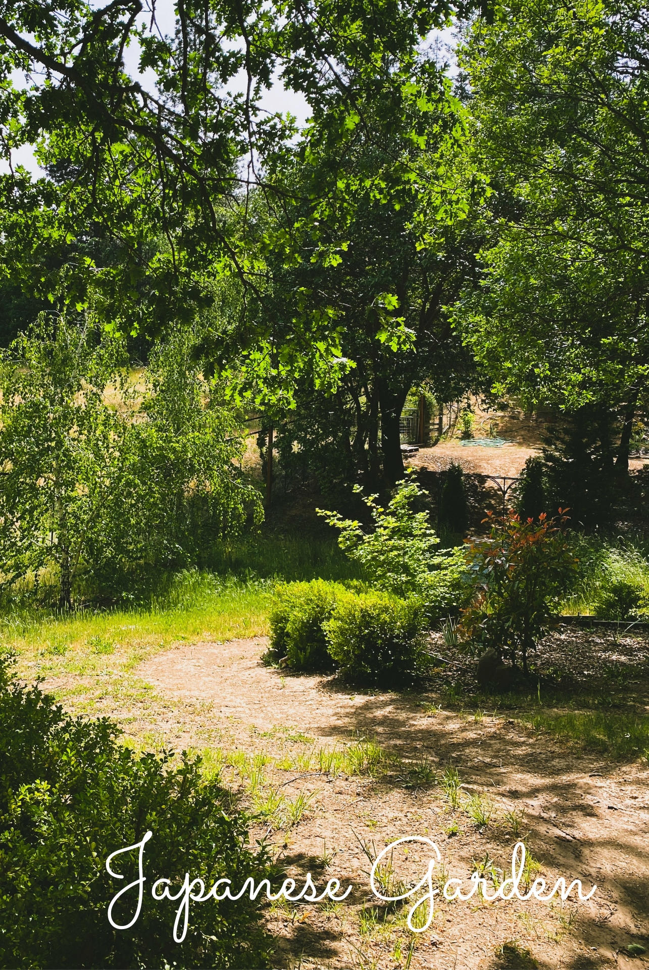 7620 Upper Applegate Road Jacksonville, OR 97530 - Photo 28 of 44 E8CE826F-5E43-4A46-8D79-2FCF59A736F2 (Ca