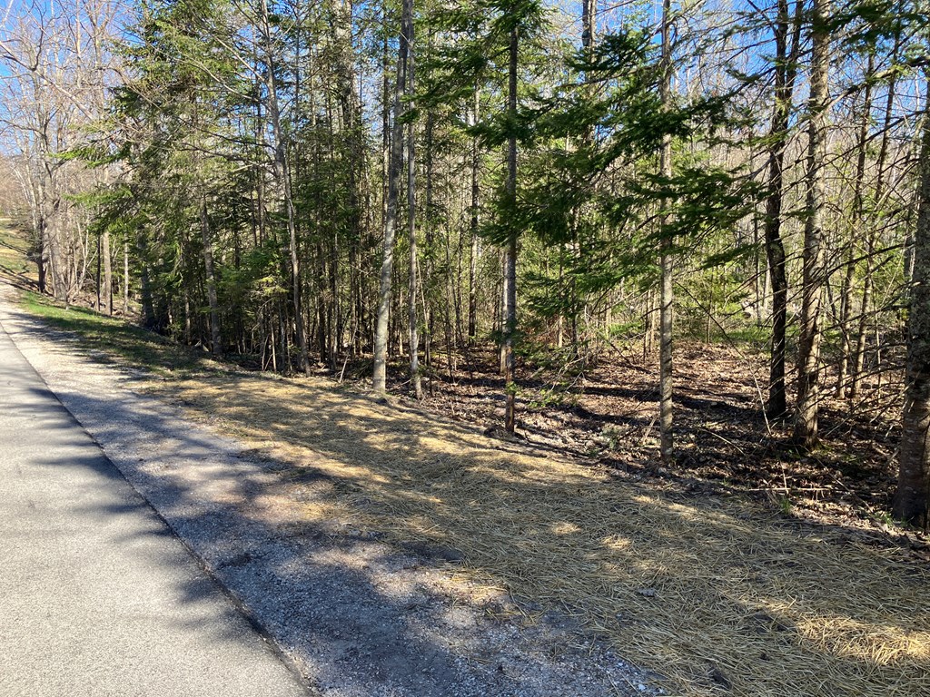 731 Isle View Road Ellison Bay, WI 54210 - Photo 2 of 5
