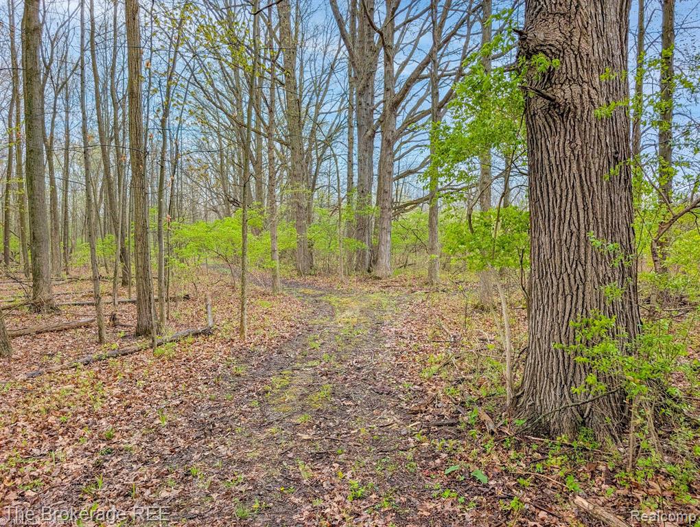 6179 West Carpenter Road Flushing, MI 48433 - Photo 24 of 85