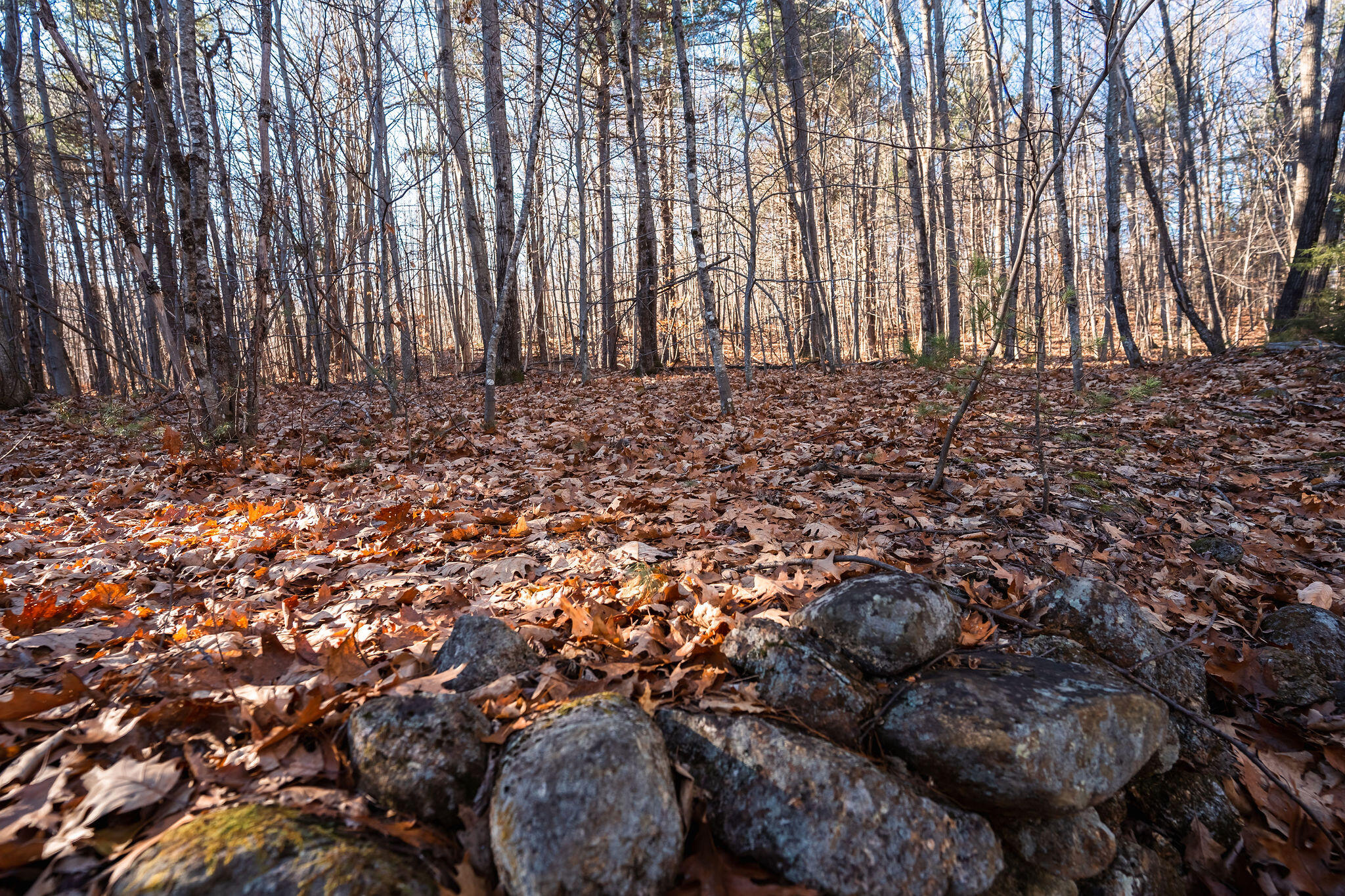 5 Map Buckfield, ME 04220 - Photo 13 of 13 Land from ITS trail