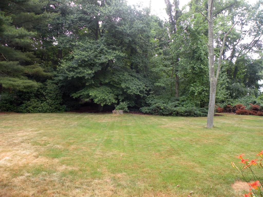33 Fairview Road Canton, MA 02021 - Photo 2 of 9 Gallery Image 2