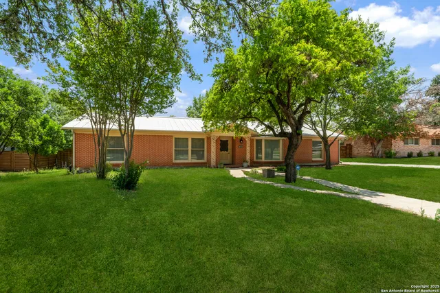 a view of a yard with plants and large tree