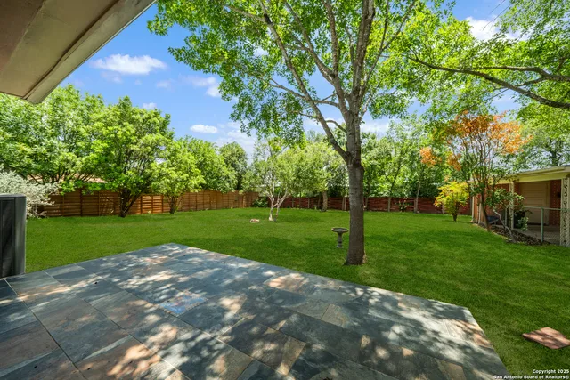a view of a park with large trees