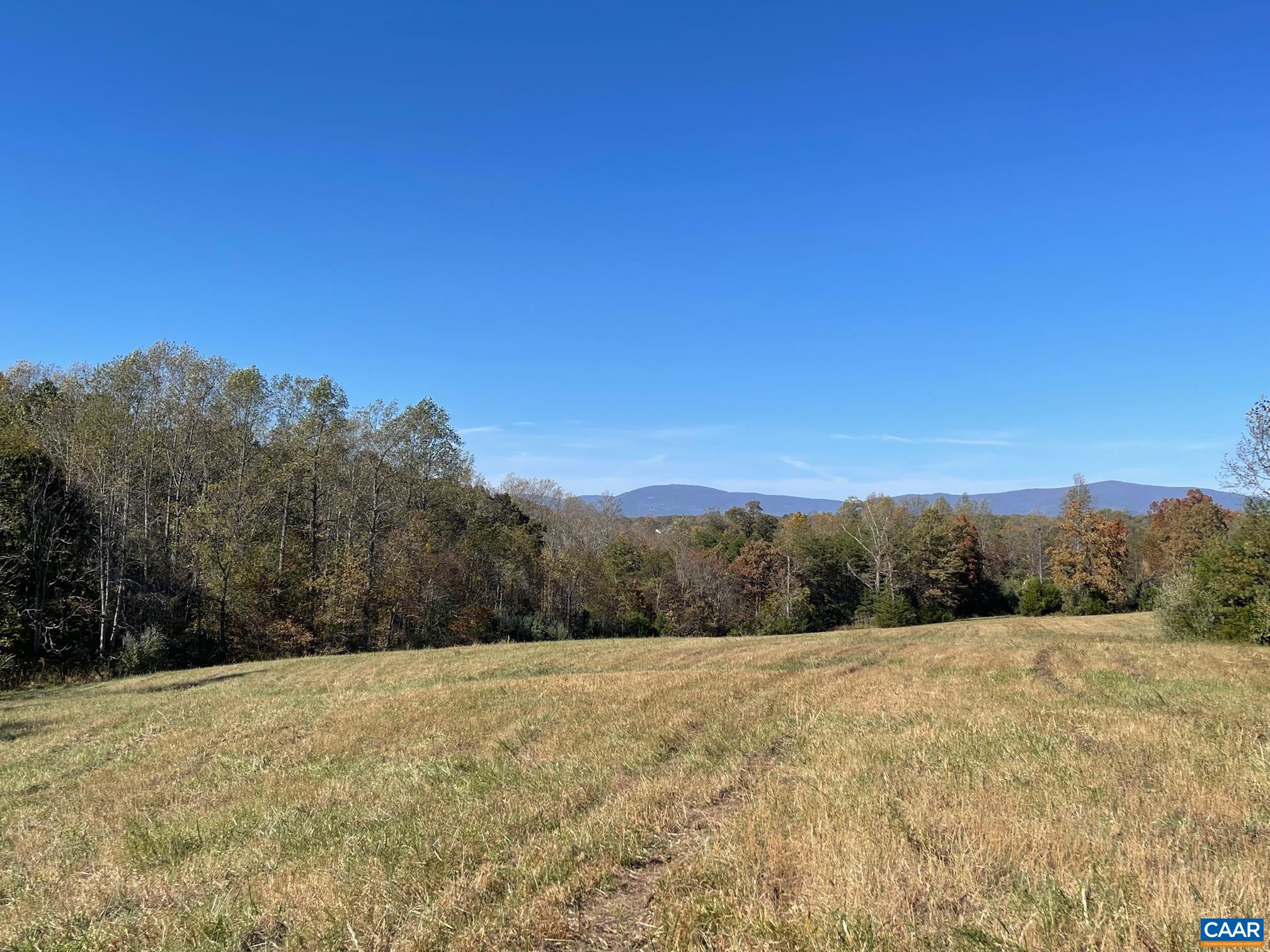 3 Frays Mill Road Ruckersville, VA 22968 - Photo 5 of 6