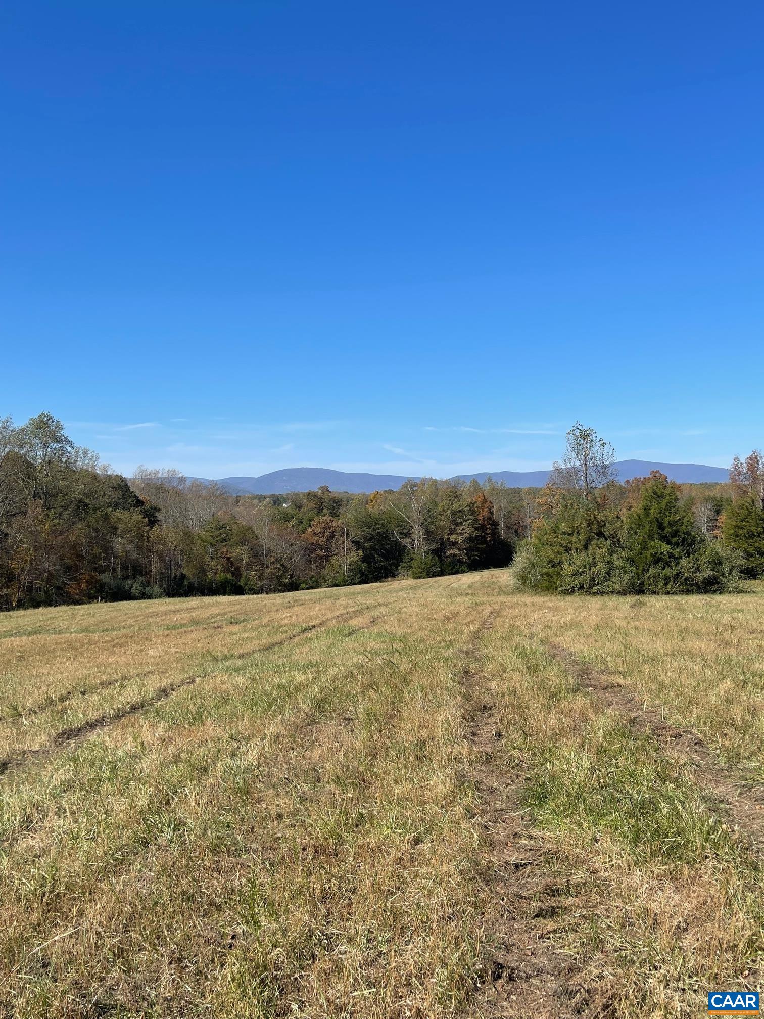 3 Frays Mill Road Ruckersville, VA 22968 - Photo 6 of 6 a view of an ocean
