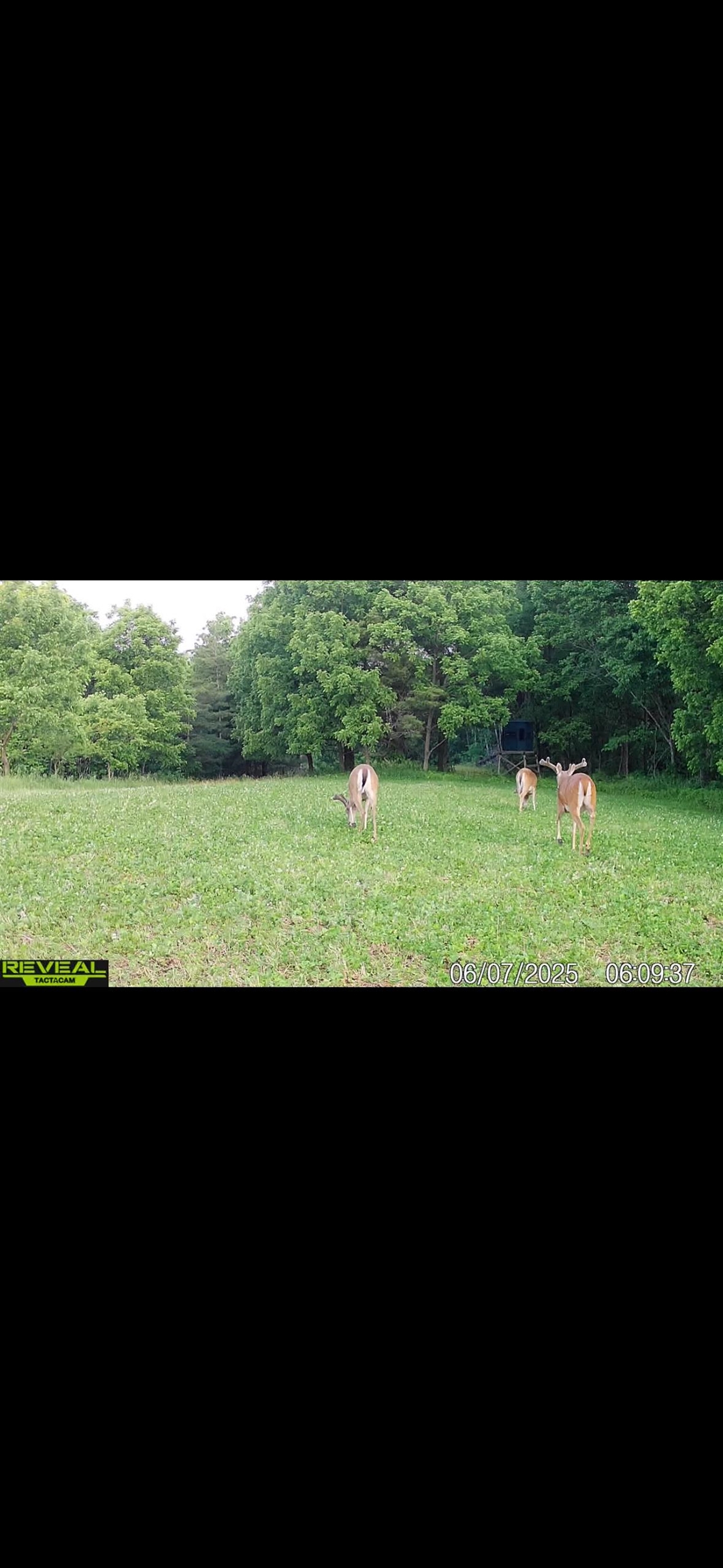 9494 South Lost Horizon Road Hanover, IL 61041 - Photo 18 of 26 a view of a city from a yard