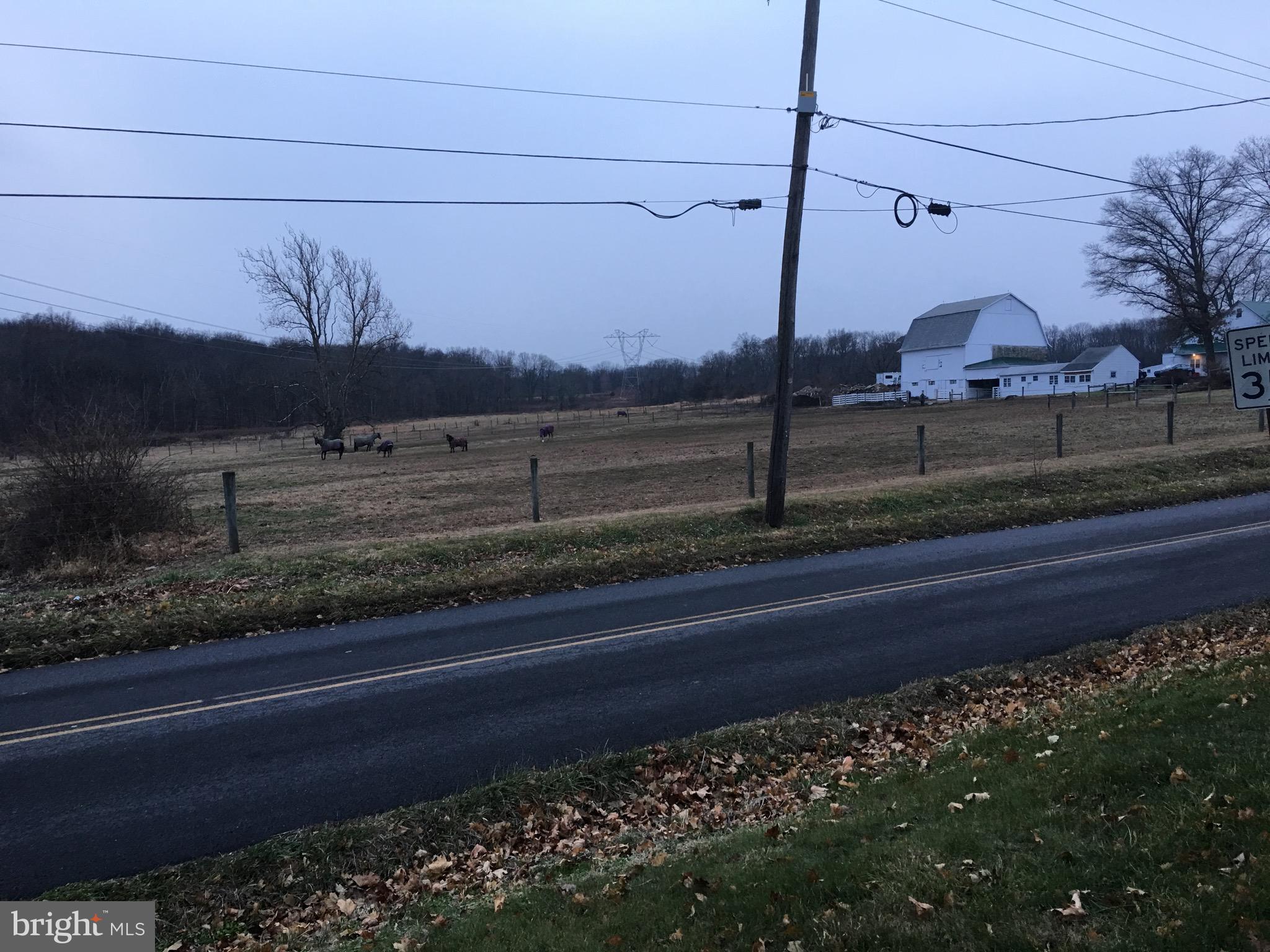 5449 Haring Road Pipersville, PA 18947 - Photo 6 of 31 Pasture view