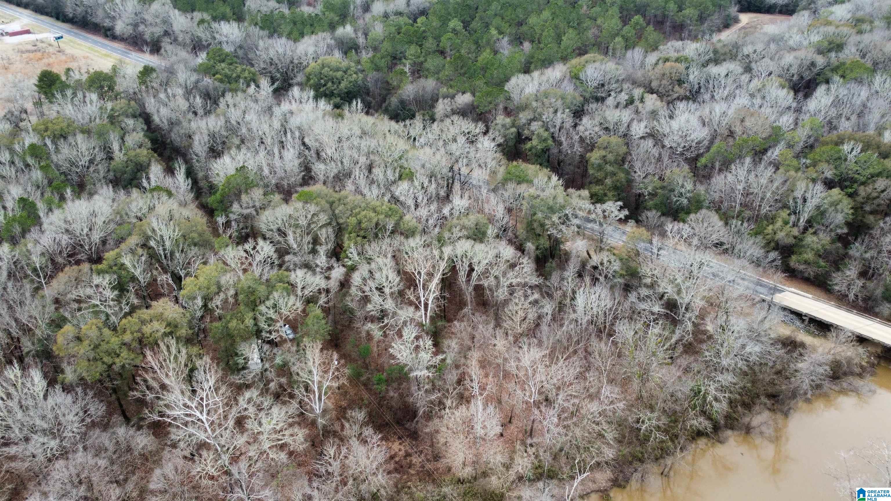 0 Cardinal Lane Eutaw, AL 35462 - Photo 2 of 16