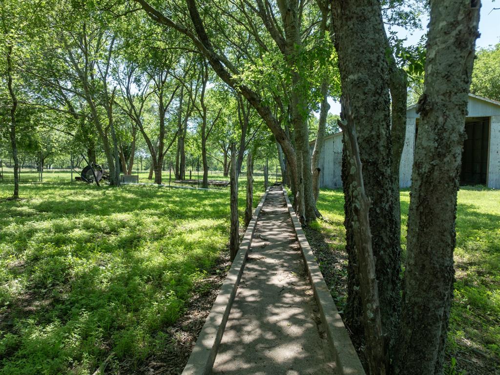 1355 North Houston Street Lorena, TX 76655 - Photo 14 of 40 a big yard with lots of green space and trees