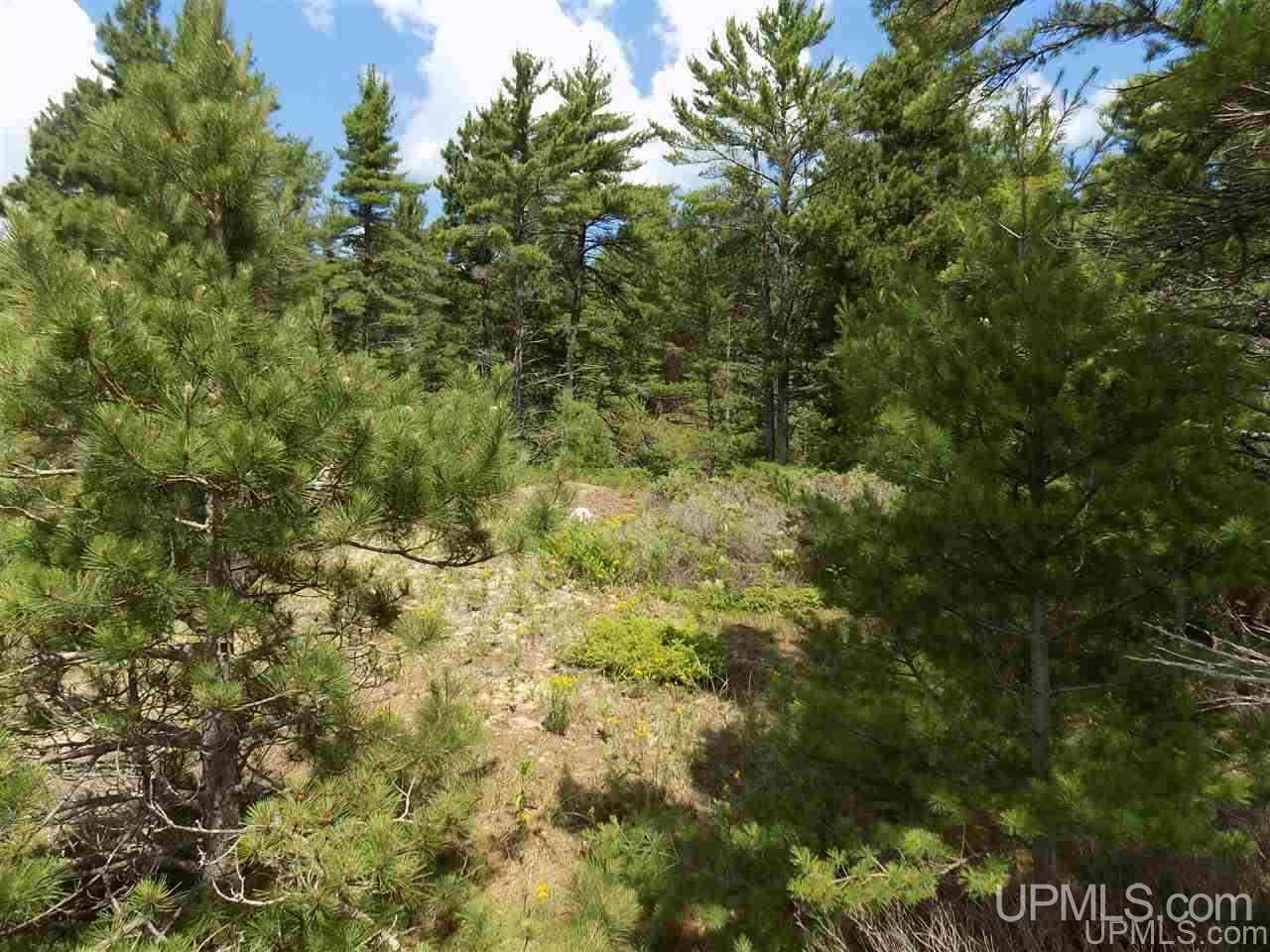 Tbd Top O Lake Road Gulliver, MI 49840 - Photo 30 of 38