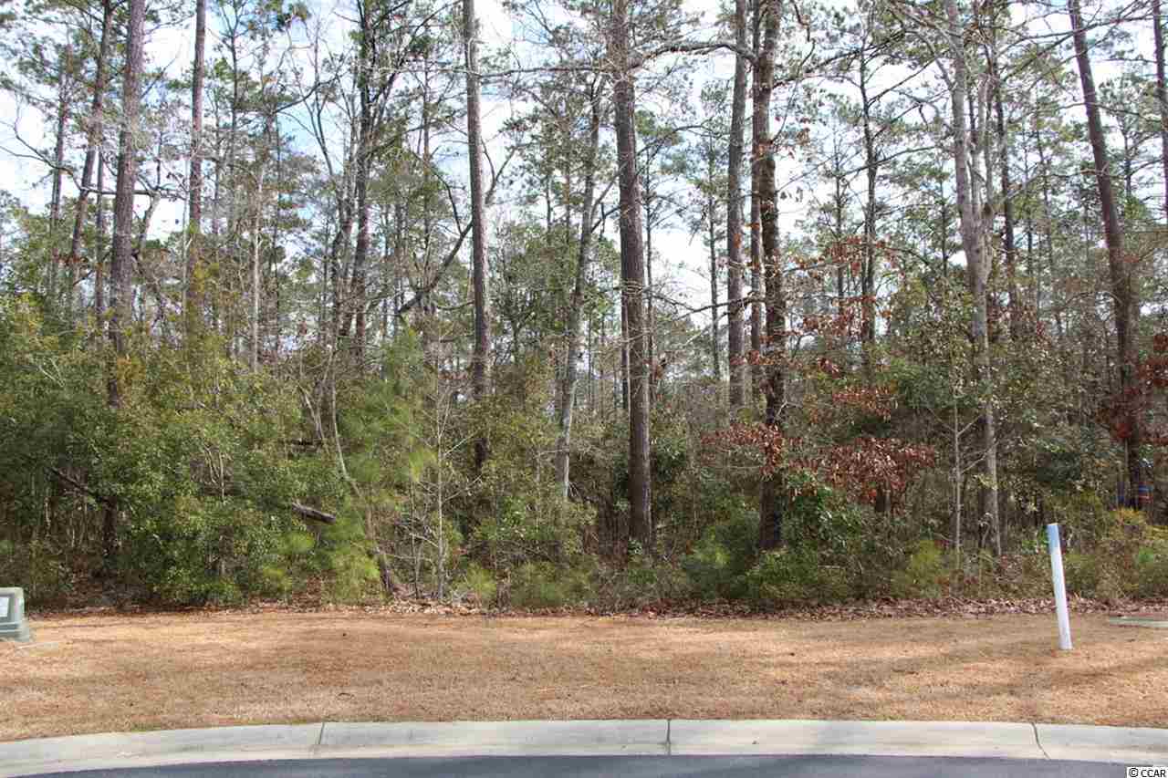 Lot 95 Creek View Court Murrells Inlet, SC 29576 - Photo 2 of 9 Gallery Image 2