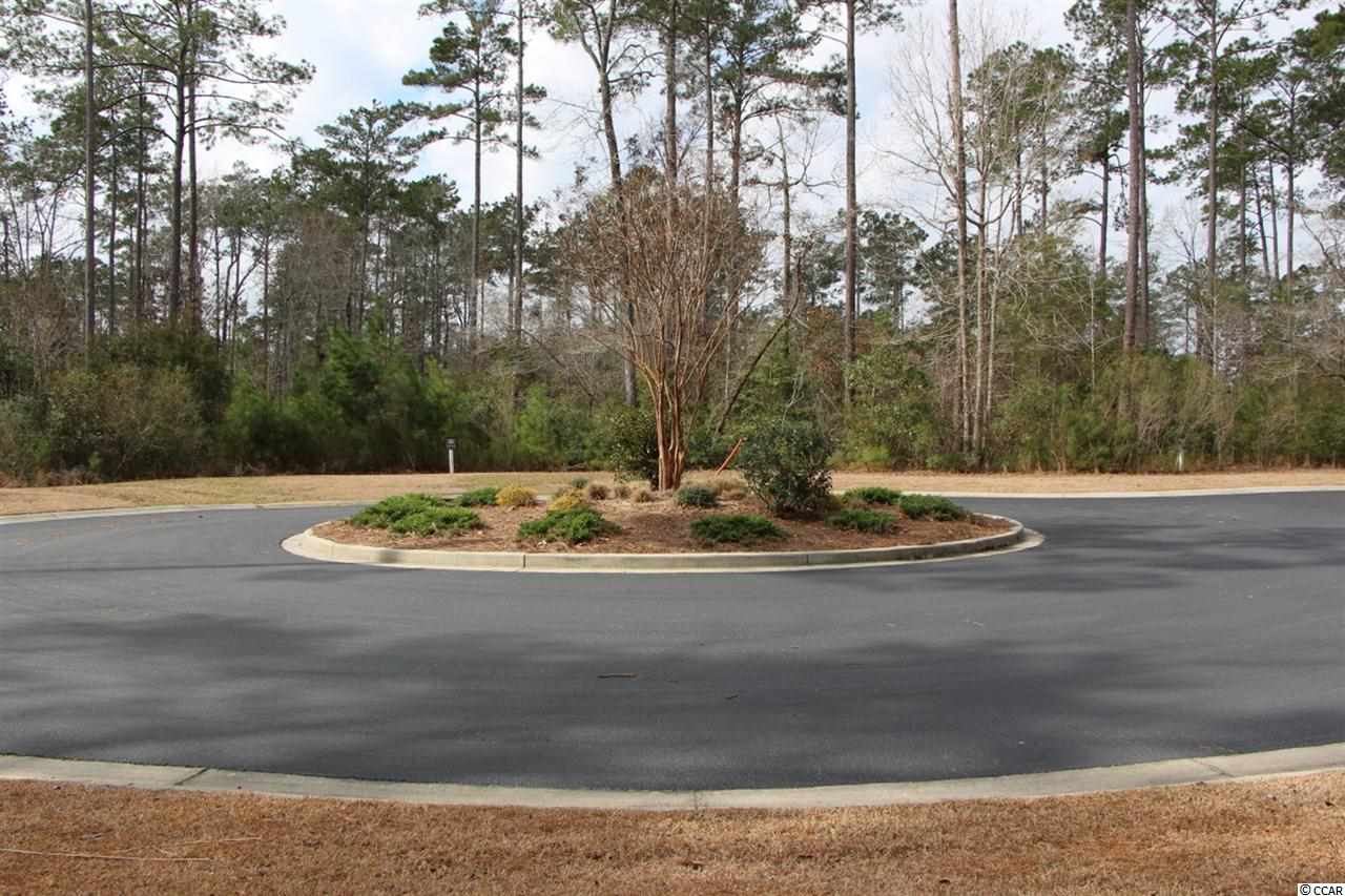 Lot 95 Creek View Court Murrells Inlet, SC 29576 - Photo 3 of 9 Gallery Image 3