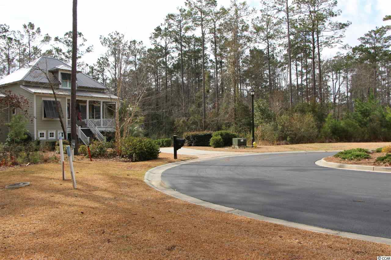 Lot 95 Creek View Court Murrells Inlet, SC 29576 - Photo 4 of 9 Gallery Image 4