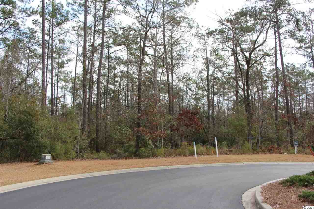Lot 95 Creek View Court Murrells Inlet, SC 29576 - Photo 5 of 9 Gallery Image 5