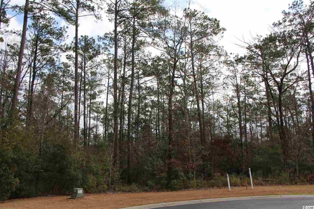 Lot 95 Creek View Court Murrells Inlet, SC 29576 - Photo 6 of 9 Gallery Image 6