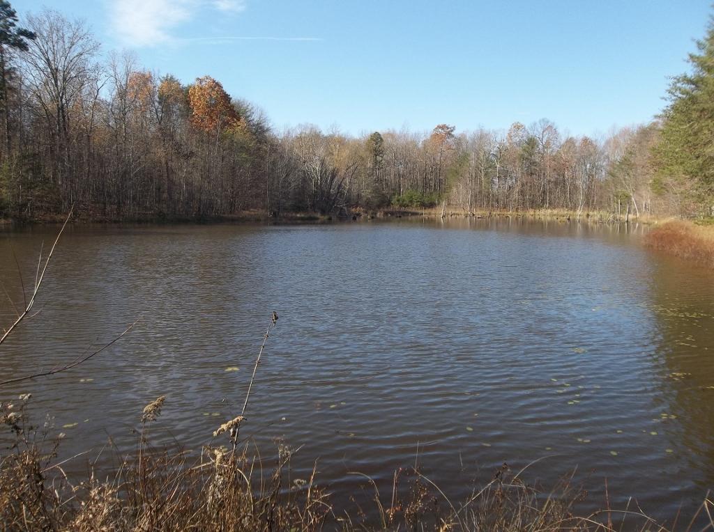 1494 Golden Pointe Road, Unit 9 Spencer, TN 38585 - Photo 1 of 24 100_2590 (1024x764)