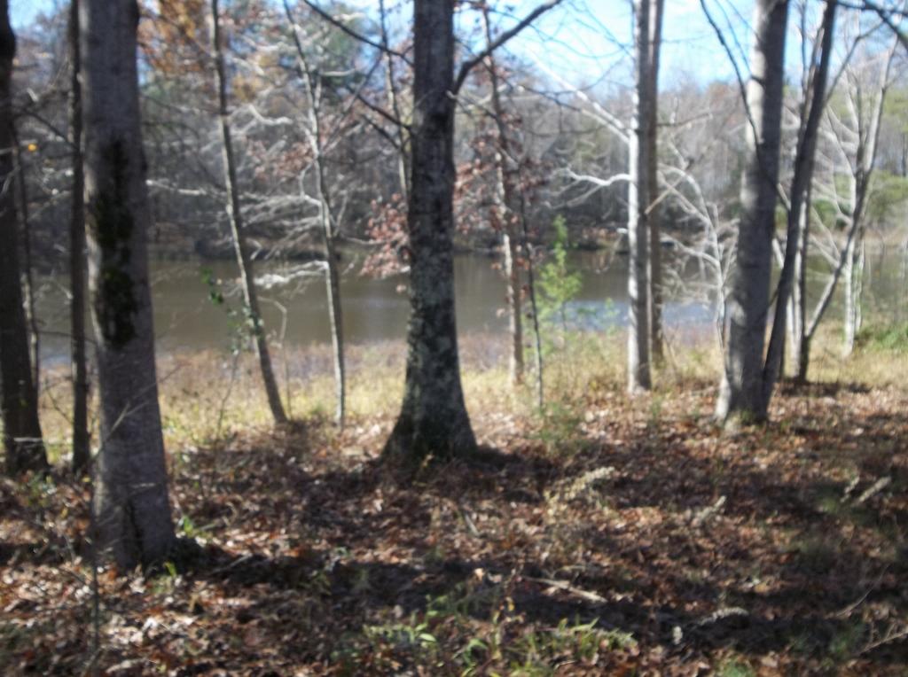 1494 Golden Pointe Road, Unit 9 Spencer, TN 38585 - Photo 11 of 24 100_2585 (1024x764)